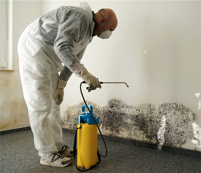 specialist in PPE combating mold 