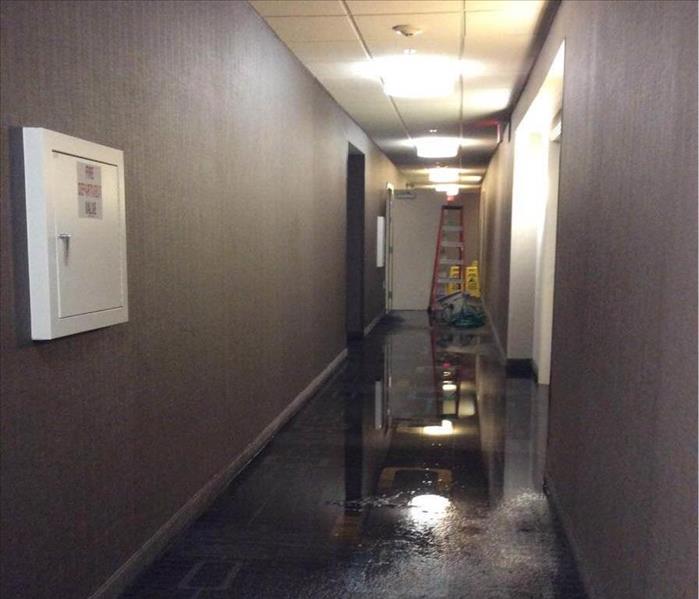Standing water in hallway.
